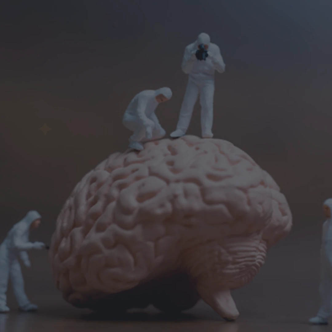 Image hover effect image